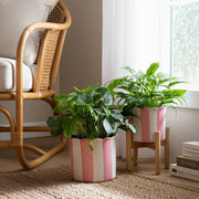 s-2-6-8-striped-scallop-edge-planters-white-pink-11