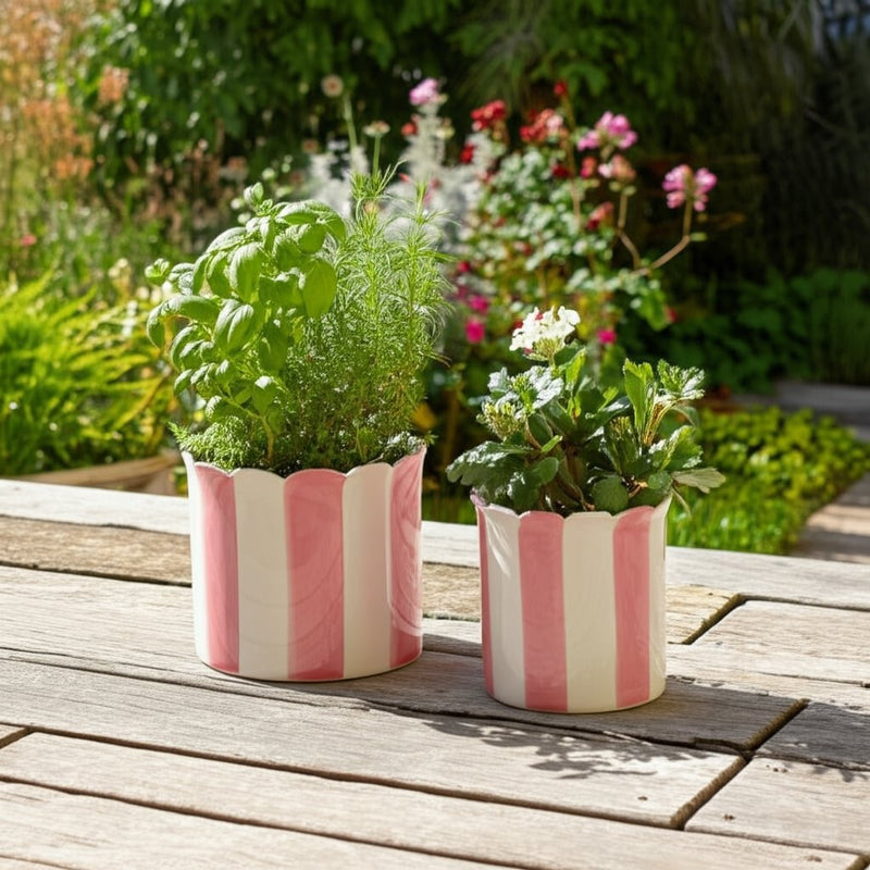 s-2-6-8-striped-scallop-edge-planters-white-pink-12
