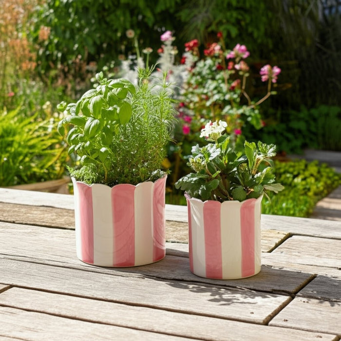 s-2-6-8-striped-scallop-edge-planters-white-pink-12