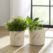 s-2-6-8-wispy-wildflowers-planters-ivory-12
