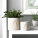 s-2-6-8-wispy-wildflowers-planters-ivory-13