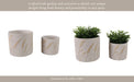 s-2-6-8-wispy-wildflowers-planters-ivory-14