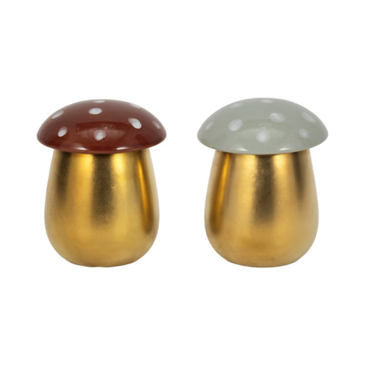 s-2-6-oz-fig-apricot-6-mushroom-candle-brwn-ivory-1