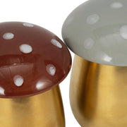 s-2-6-oz-fig-apricot-6-mushroom-candle-brwn-ivory-4