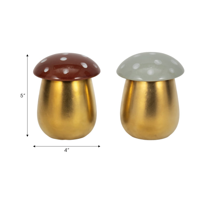 s-2-6-oz-fig-apricot-6-mushroom-candle-brwn-ivory-7