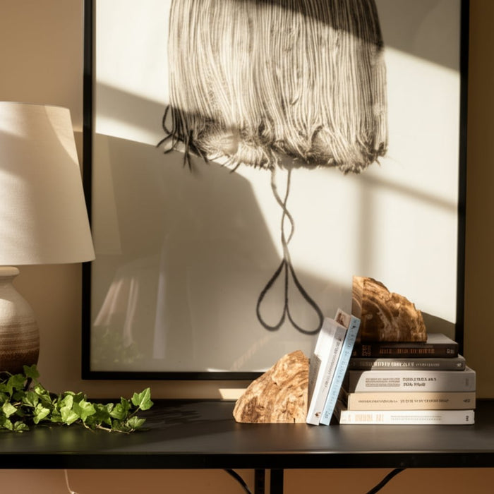 s-2-6-petrified-wood-bookends-natural-10