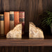 s-2-6-petrified-wood-bookends-natural-12