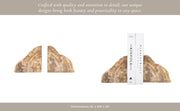 s-2-6-petrified-wood-bookends-natural-13