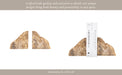 s-2-6-petrified-wood-bookends-natural-13