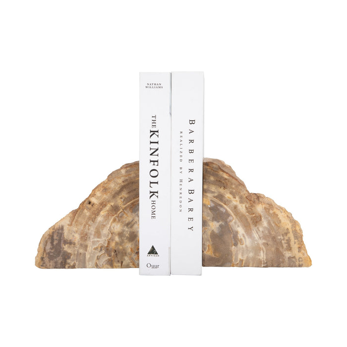 s-2-6-petrified-wood-bookends-natural-2