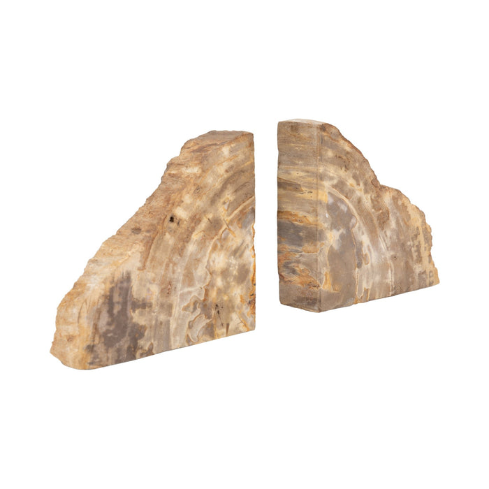 s-2-6-petrified-wood-bookends-natural-3