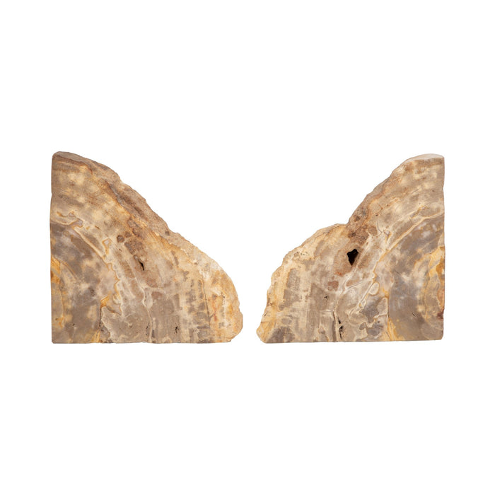 s-2-6-petrified-wood-bookends-natural-5