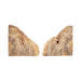 s-2-6-petrified-wood-bookends-natural-5