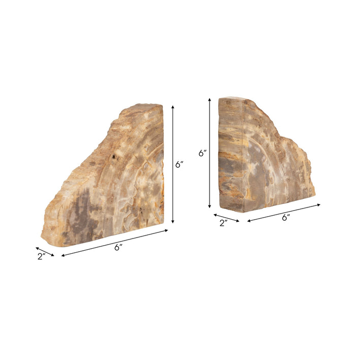 s-2-6-petrified-wood-bookends-natural-8