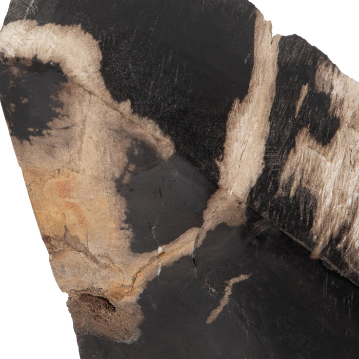 s-2-6-triangular-petrified-wood-bookends-natural-6