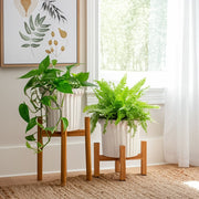 s-2-7-9-fluted-planters-ivory-10