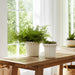 s-2-7-9-fluted-planters-ivory-9
