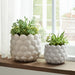 s-2-7-9-seashell-planters-white-12