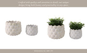 s-2-7-9-seashell-planters-white-13