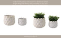 s-2-7-9-seashell-planters-white-13