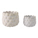 s-2-7-9-seashell-planters-white-1