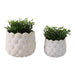 s-2-7-9-seashell-planters-white-2