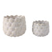 s-2-7-9-seashell-planters-white-3