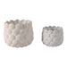 s-2-7-9-seashell-planters-white-4