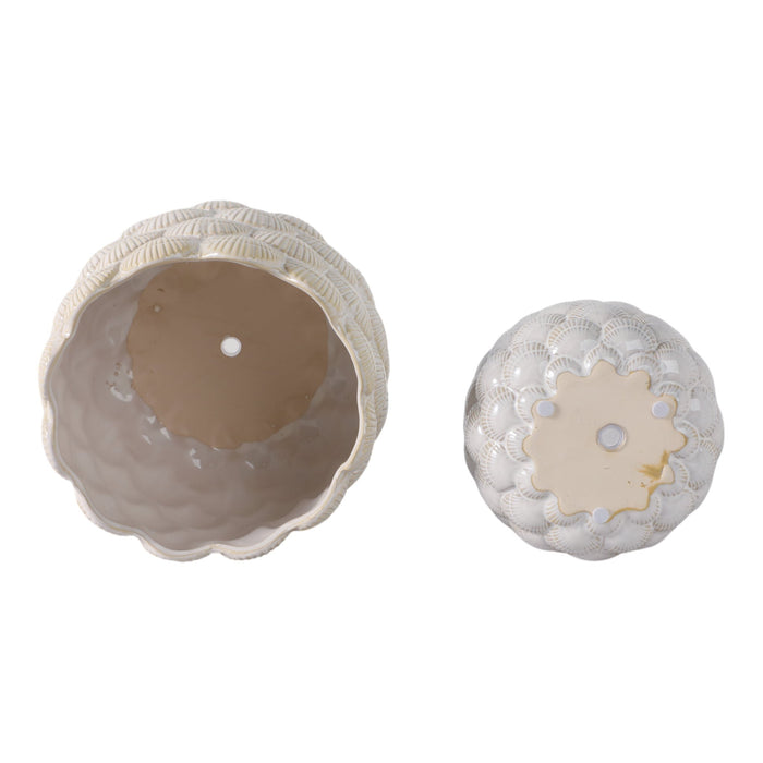s-2-7-9-seashell-planters-white-8