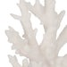 s-2-7-coral-on-glass-bookends-white-4