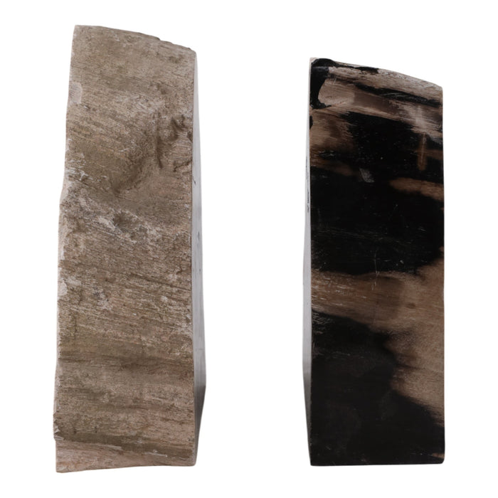 s-2-7-petrified-wood-bookends-black-tan-4