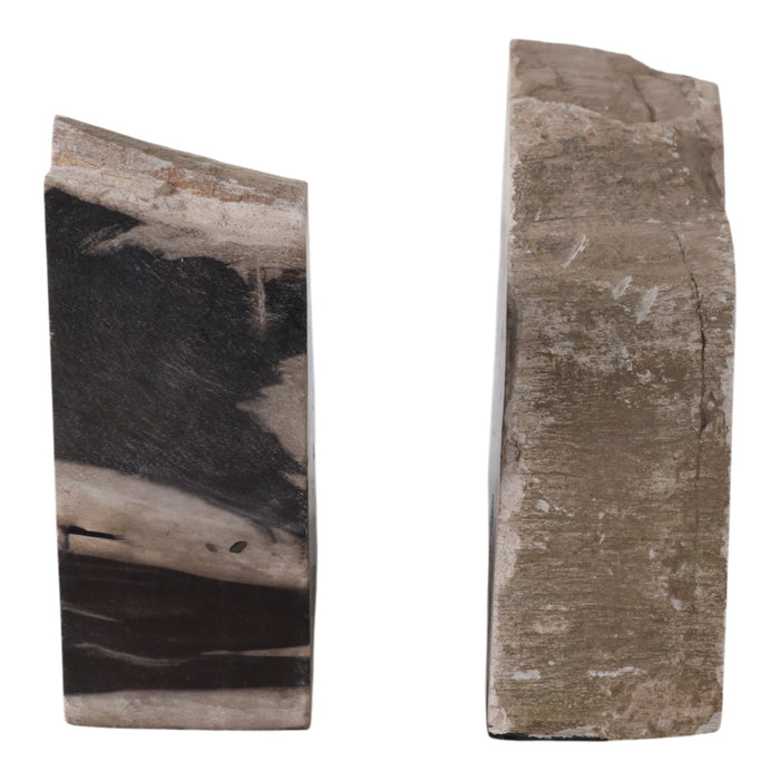 s-2-7-petrified-wood-bookends-black-tan-5