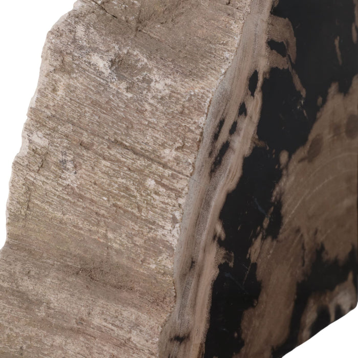 s-2-7-petrified-wood-bookends-black-tan-6