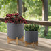 s-2-8-10-planter-w-wood-stand-matte-gray-11