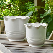 s-2-8-11-ruffle-edge-planter-ivory-10