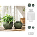 s-2-8-12-curvy-lines-rounded-planter-sage-green-9
