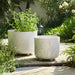 s-2-9-11-blooming-branches-planters-ivory-11