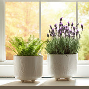 s-2-9-11-blooming-branches-planters-ivory-12