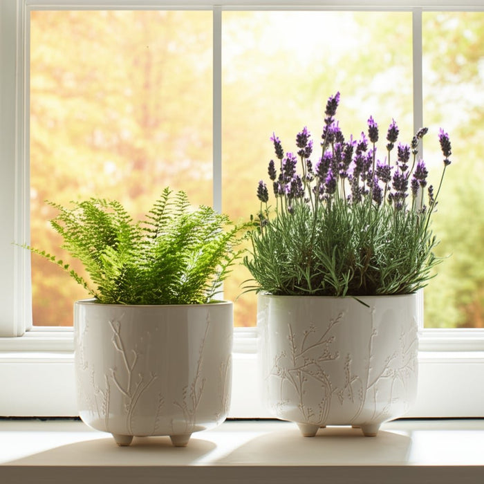 s-2-9-11-blooming-branches-planters-ivory-12