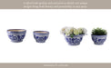 s-2-9-11-bowl-chinoiserie-planters-blue-wht-10