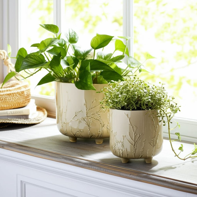 s-2-9-11-flower-branches-planters-cream-11