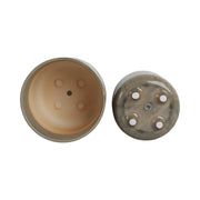 s-2-9-11-flower-branches-planters-cream-6