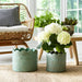 s-2-9-12-arch-planters-sage-green-10