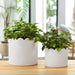 s-2-9-12-arch-planters-white-10