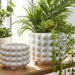 s-2-9-12-bubble-planters-white-8