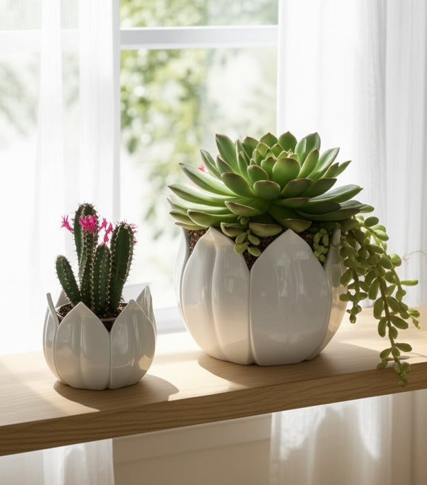 s-2-9-12-petal-planters-white-10