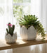 s-2-9-12-petal-planters-white-10