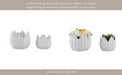 s-2-9-12-petal-planters-white-11