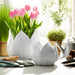 s-2-9-12-petal-planters-white-9