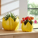 s-2-9-12-petal-planters-yellow-10